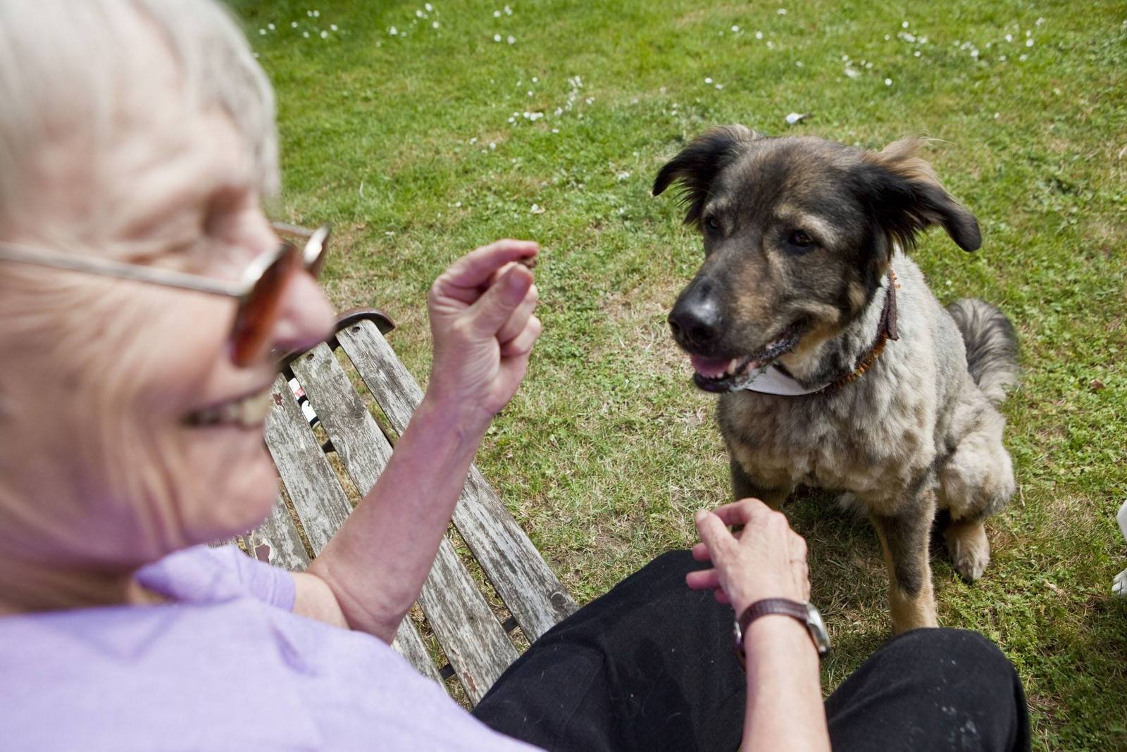 Krefeld/Kamp-Lintfort
